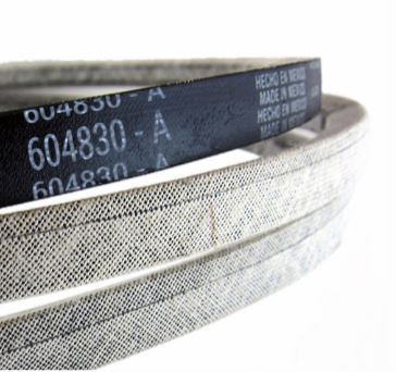 [604830] Kilerem, Raptor SD 48"