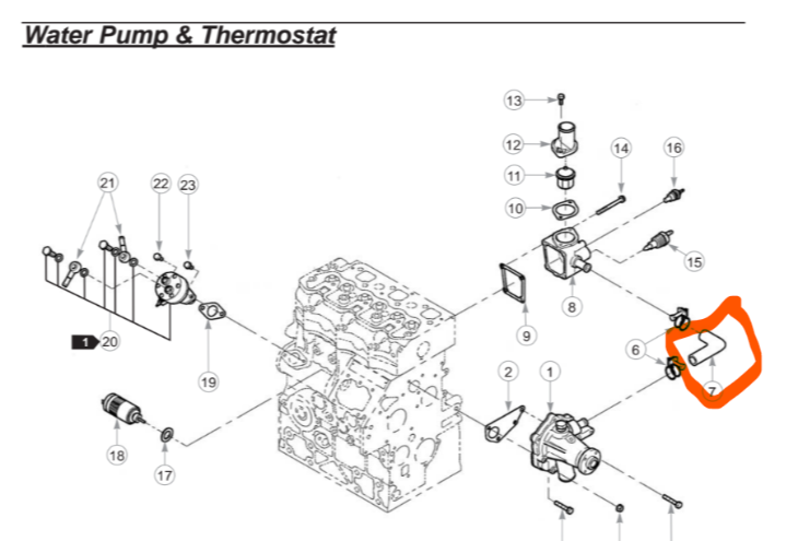 [145536051] Slange, HOSE